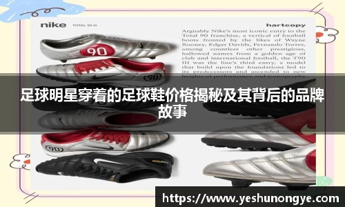 足球明星穿着的足球鞋价格揭秘及其背后的品牌故事